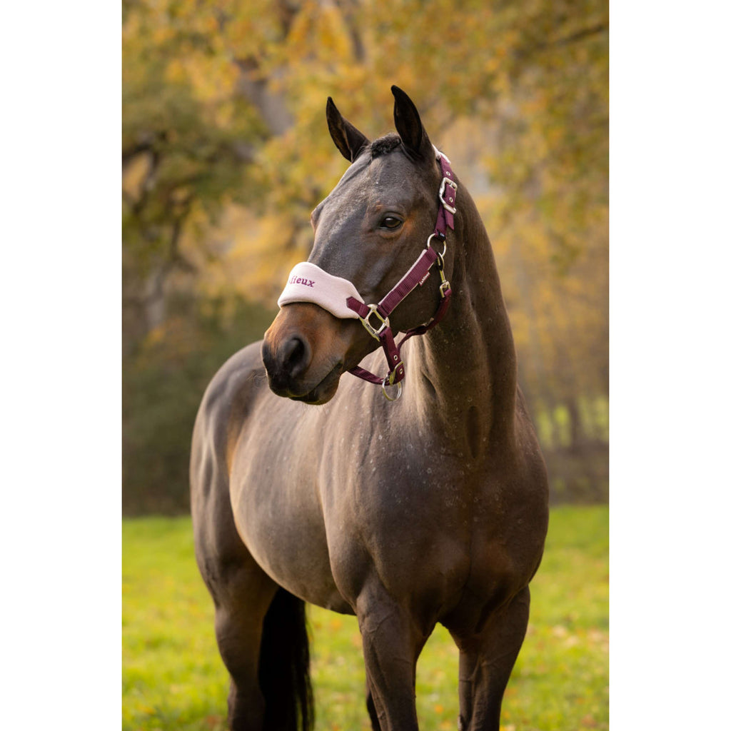 LeMieux Halfterset Vogue Blackberry