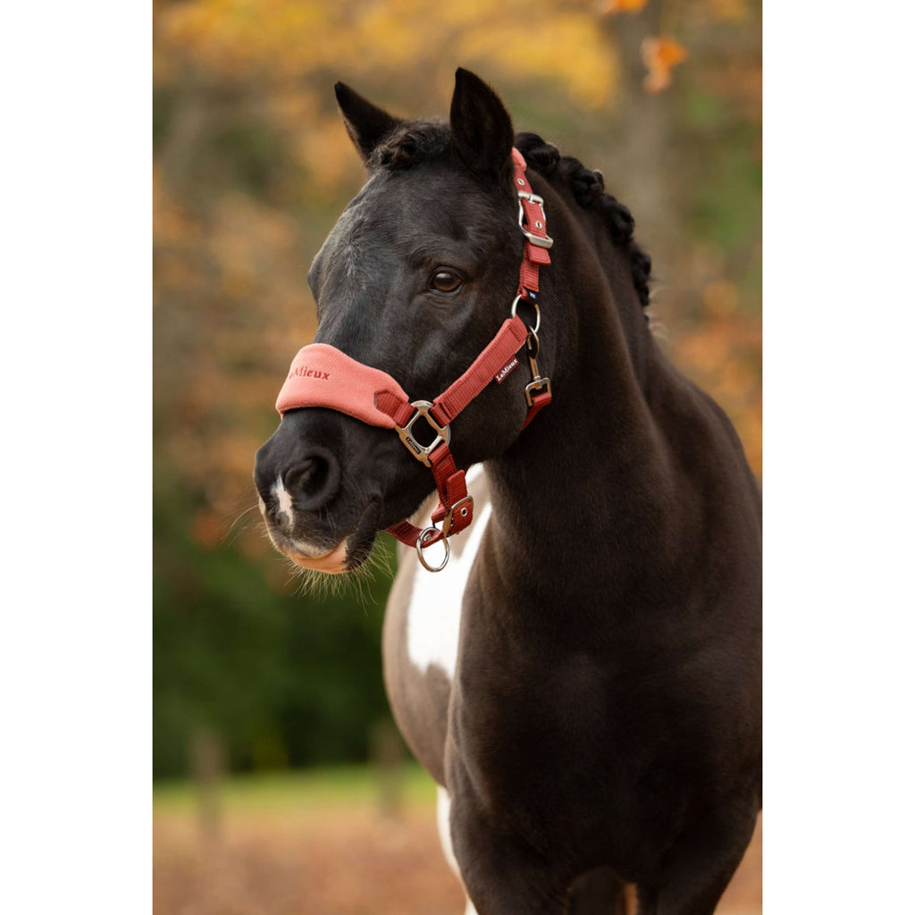 LeMieux Halfterset Vogue Russet