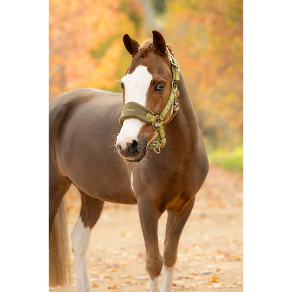 LeMieux Halfterset Vogue Gooseberry