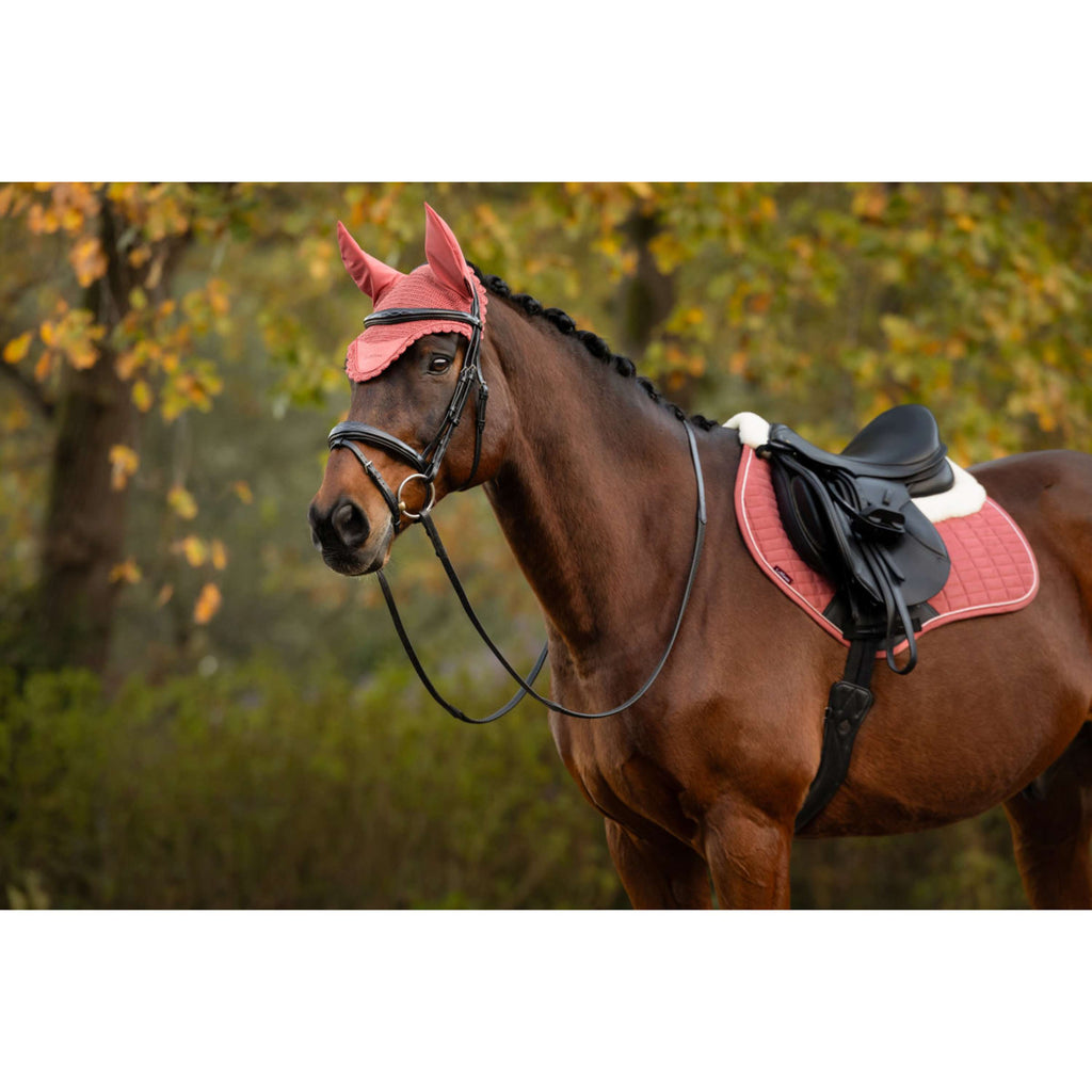 LeMieux Fliegenhaube Classique Spiced Earth