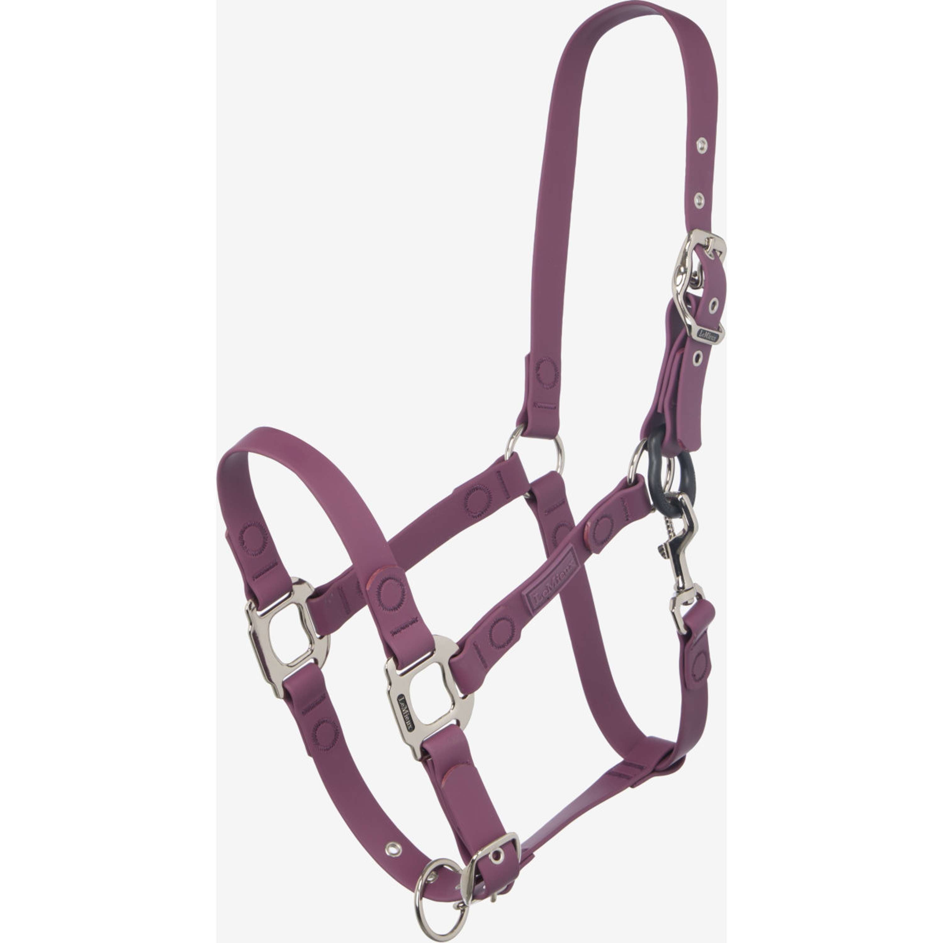 LeMieux Halfter FieldFlex Breakaway Blackberry