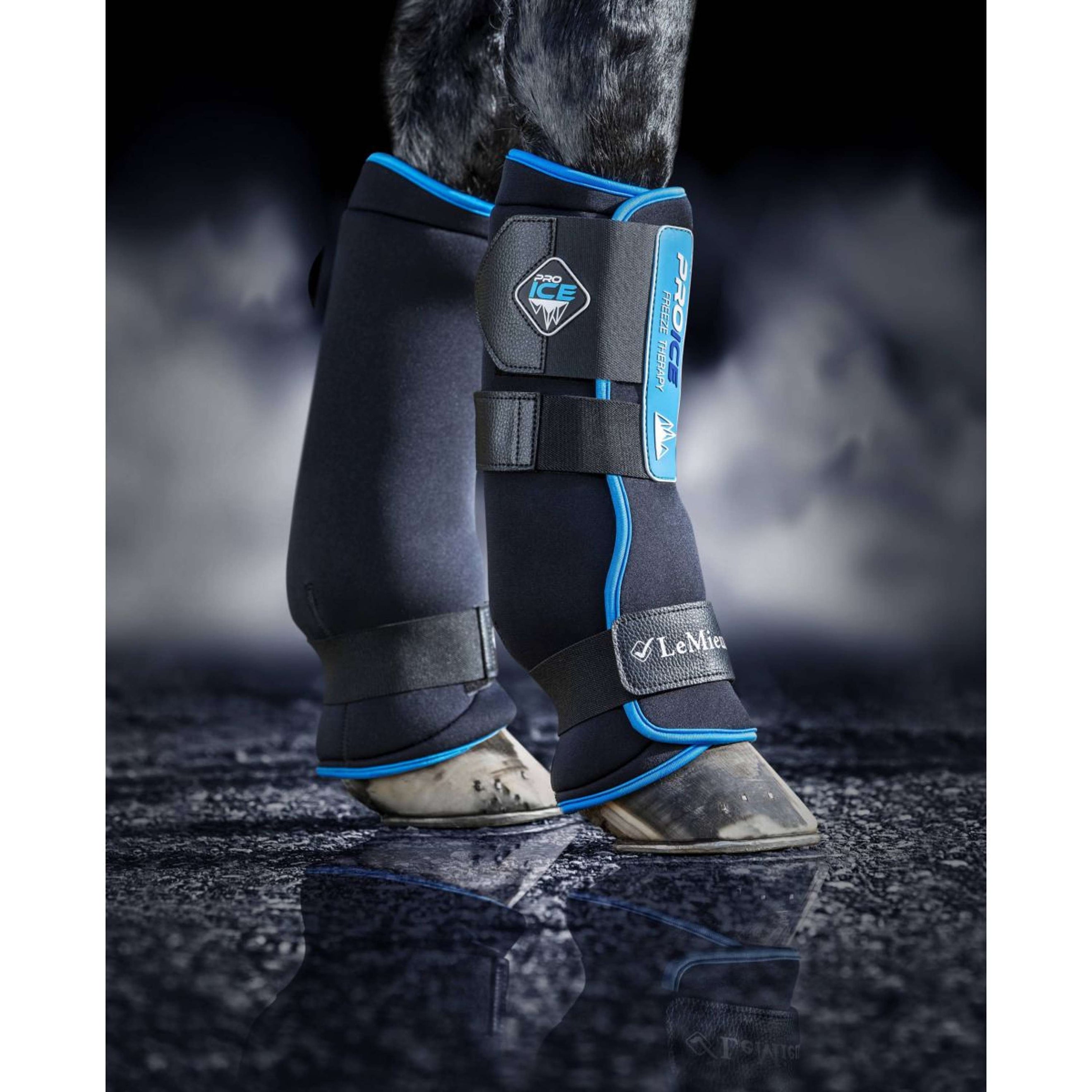 LeMieux Beinschutz Freeze Therapy Schwarz LeMieux Beinschutz Freeze Therapy Schwarz