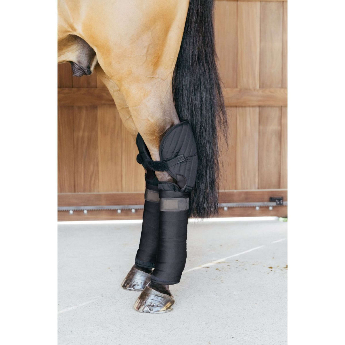 Kentucky Horsewear Transportgamaschen Stable Schwarz