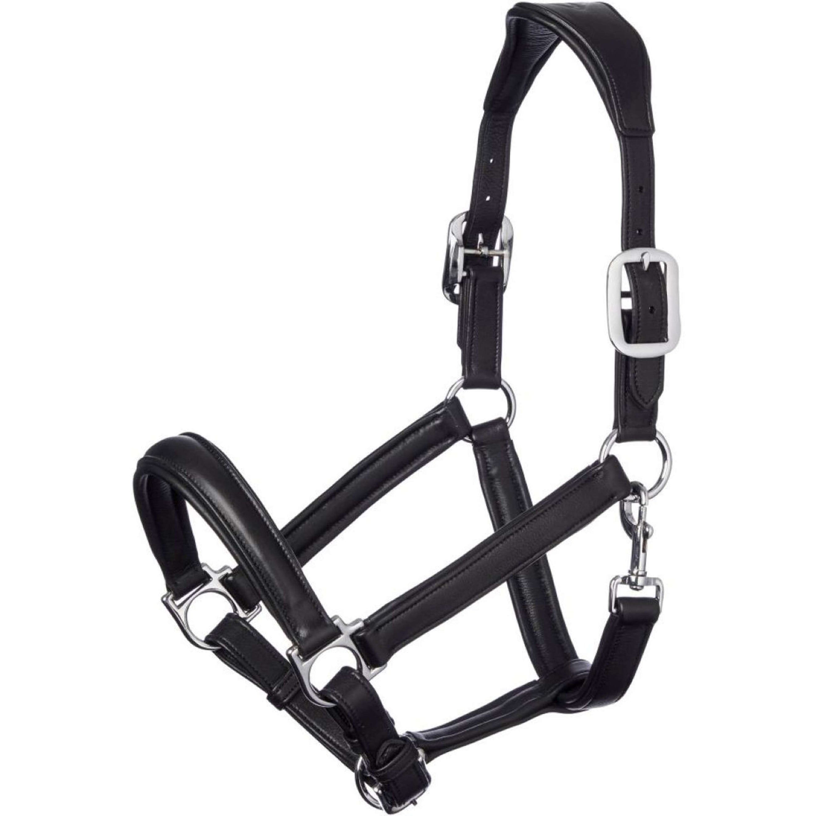 LeMieux Halfter Anatomisches Leder Schwarz LeMieux Halfter Anatomisches Leder Schwarz