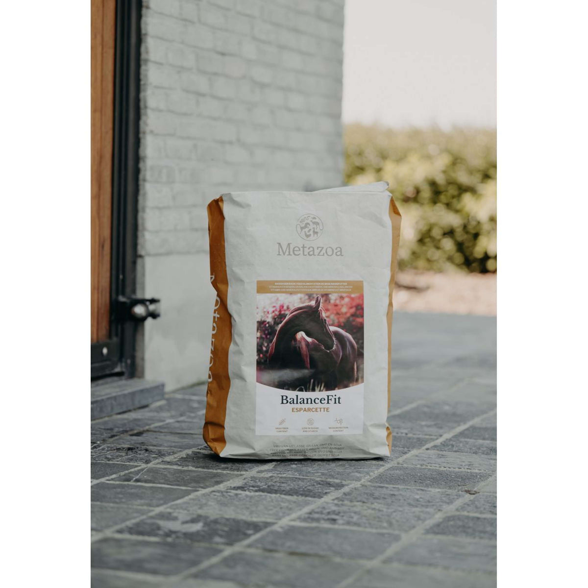 Metazoa BalanceFit Esparcette