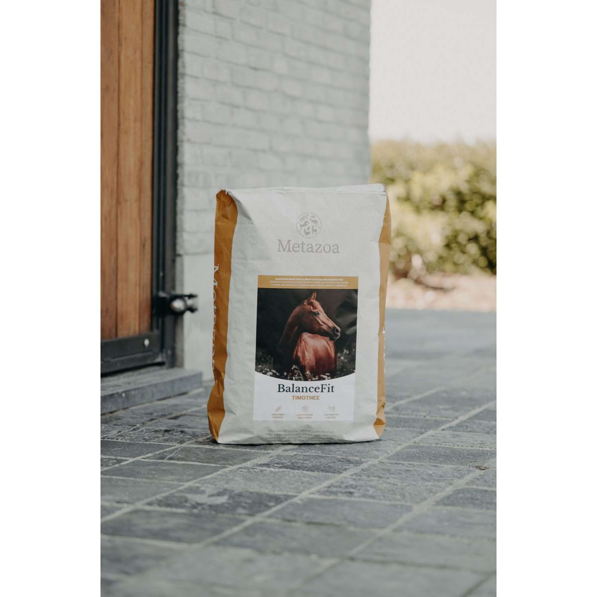 Metazoa BalanceFit Timothee