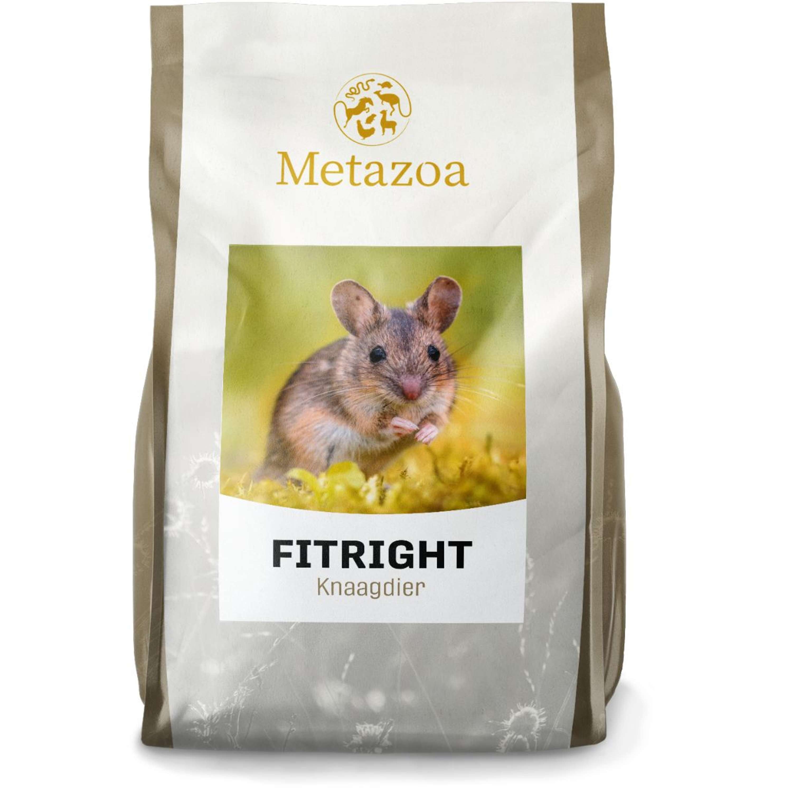 Metazoa Nagetier Brocken Basis