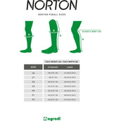 Norton Reitstiefel Forall Leder Schwarz