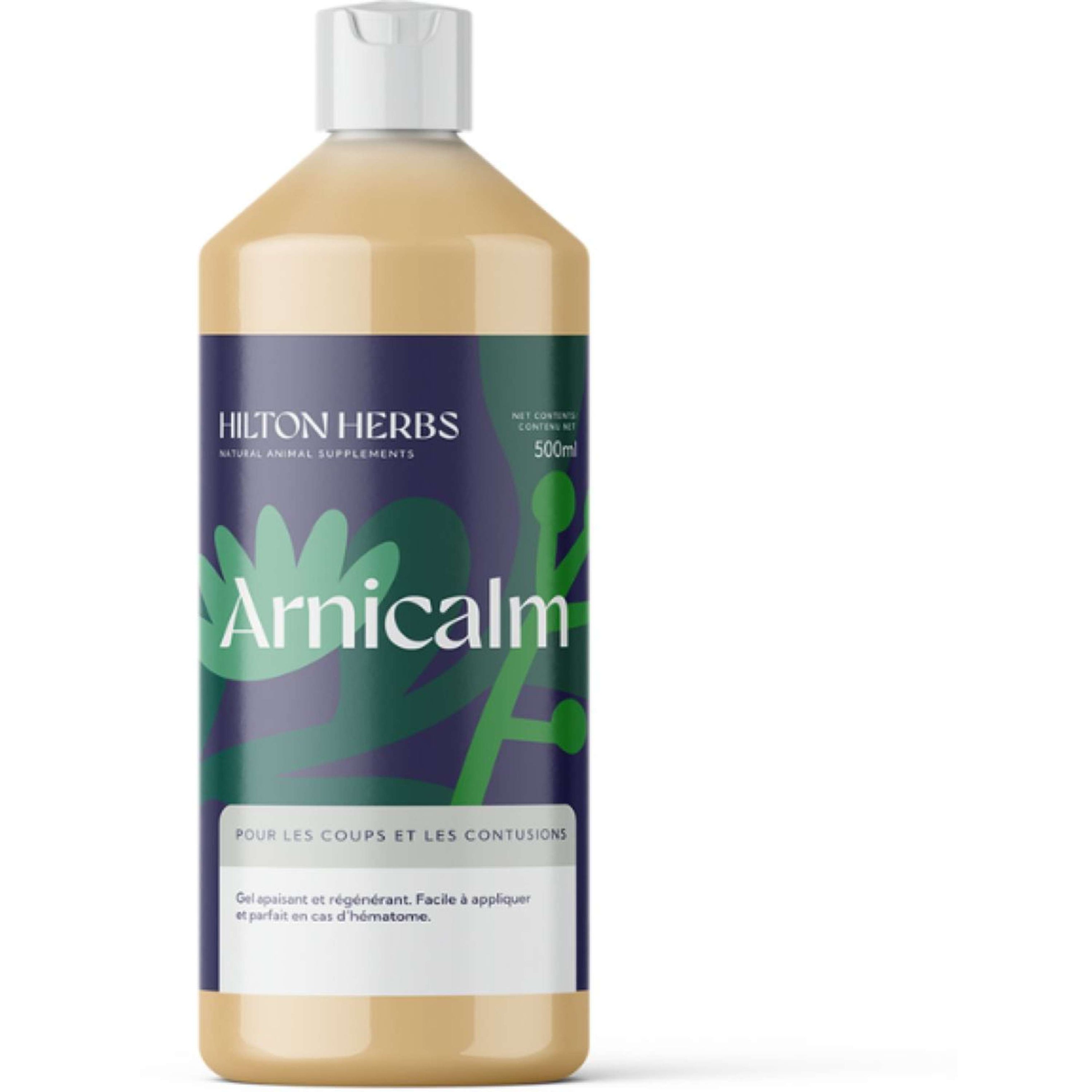 Hilton Herbs Ezee Arnica Hilton Herbs Ezee Arnica