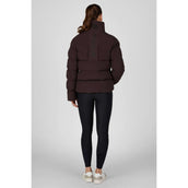 Pikeur Jack Quilted Athleisure AW26 Schokoladen Braun