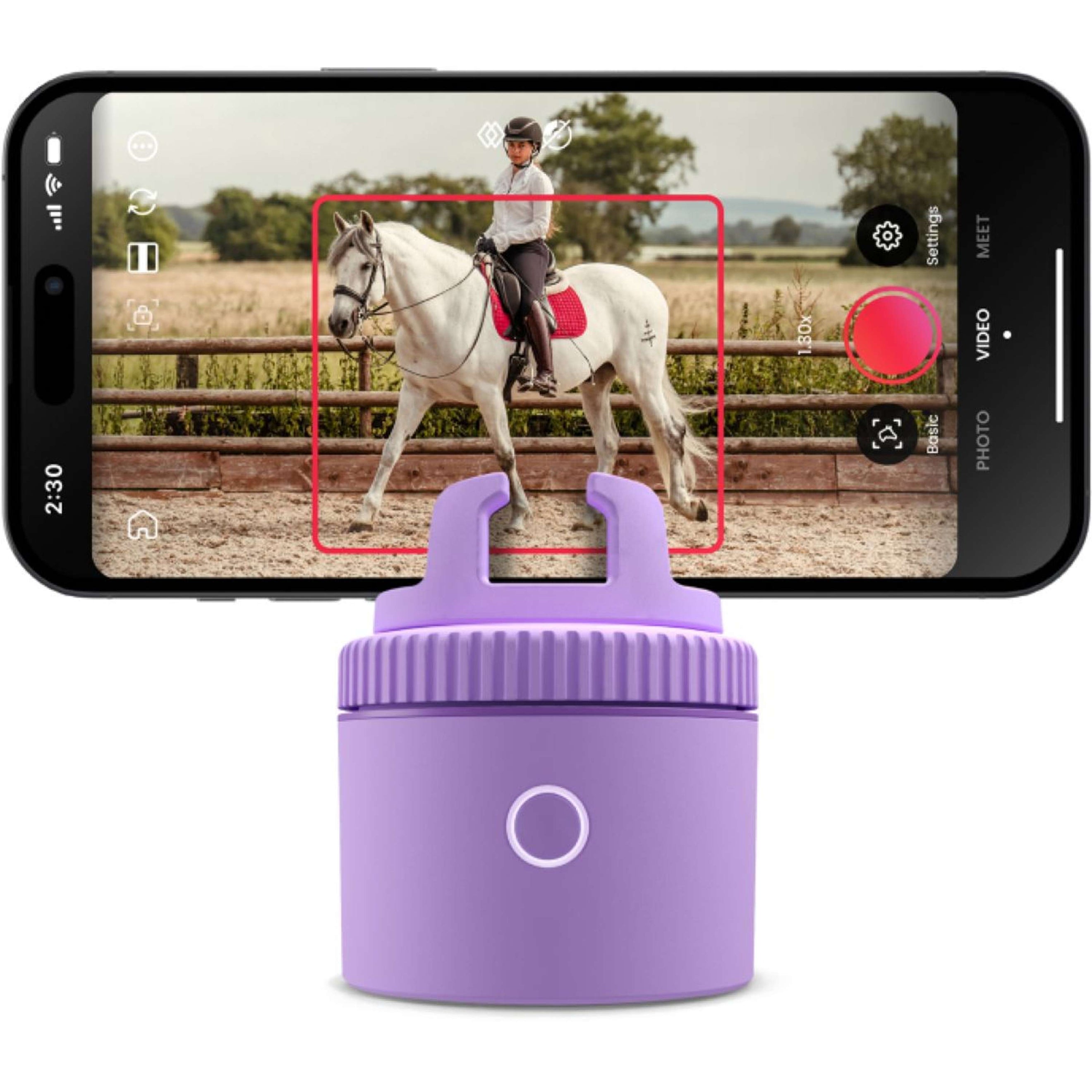 Pivo Pod Violett