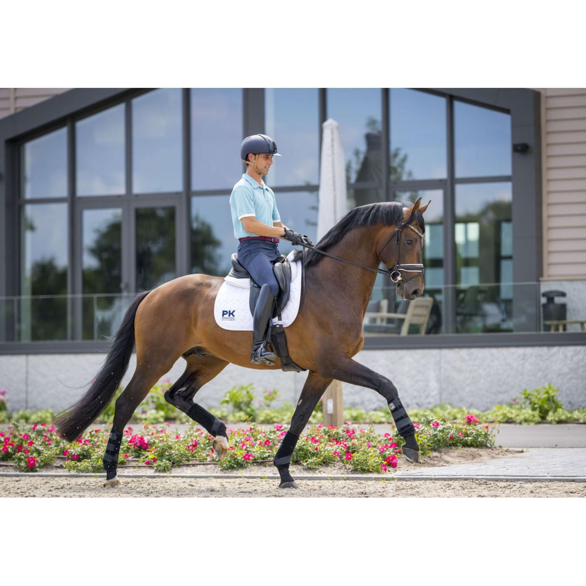 PK Polo Piqué Rambo Herren Fresh Teal