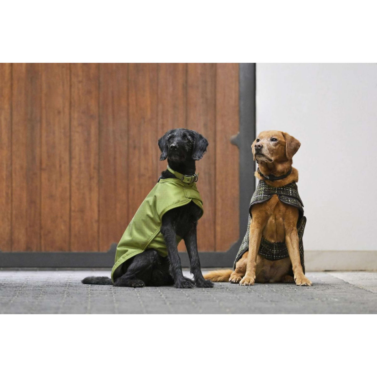 Eskadron Hundejacke Platinum Bouclé Teak