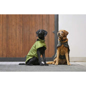 Eskadron Hundejacke Platinum Bouclé Teak