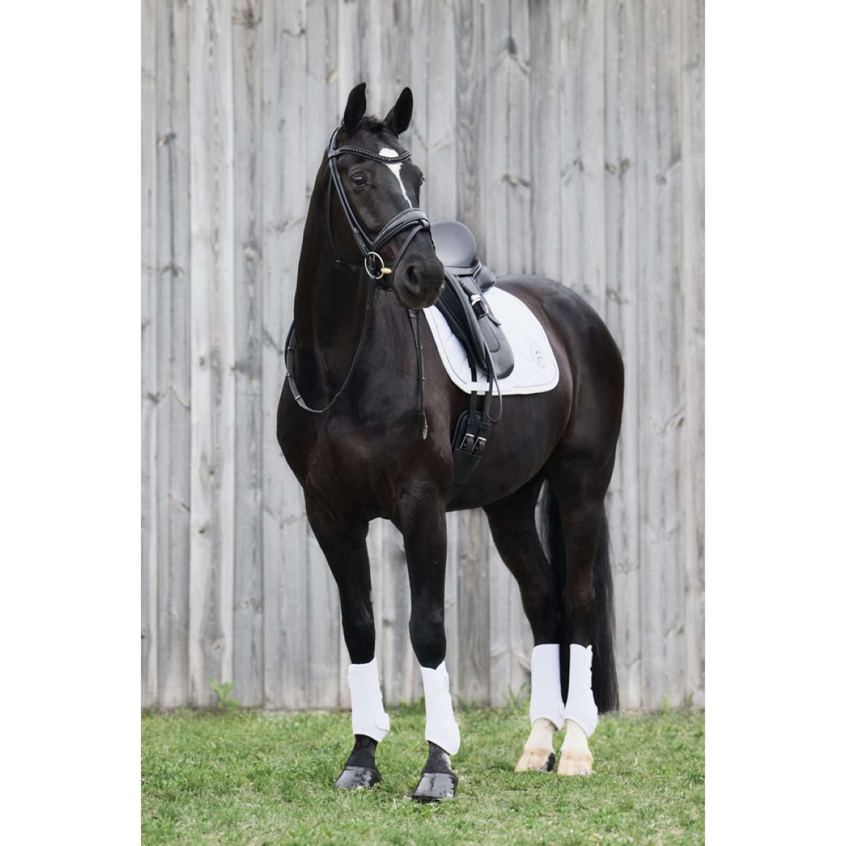 Eskadron Flextrainers Platinum Pro Dressage Hinter Weiß