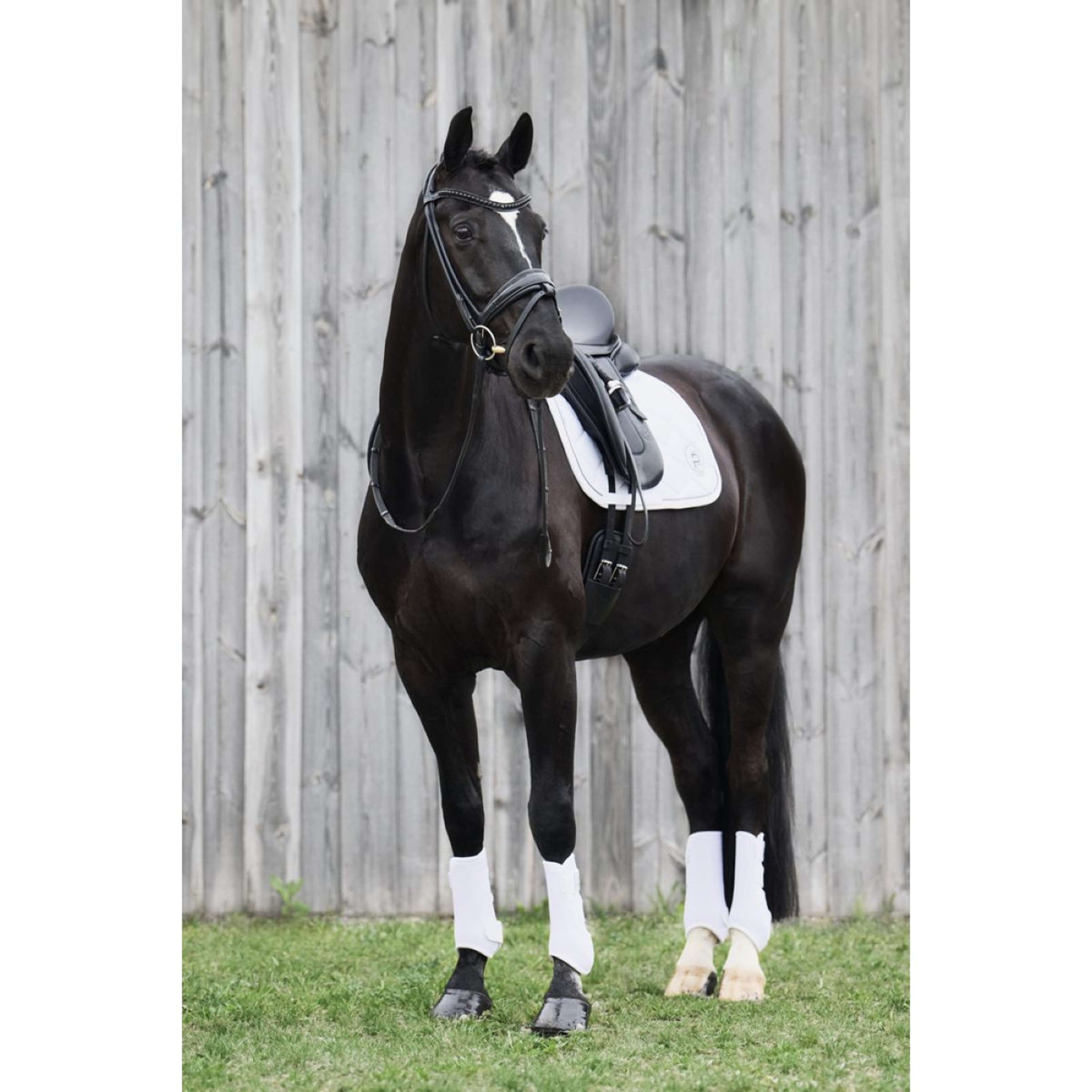 Eskadron Dressage Boots Platinum Pro Dressage Hinter Weiß