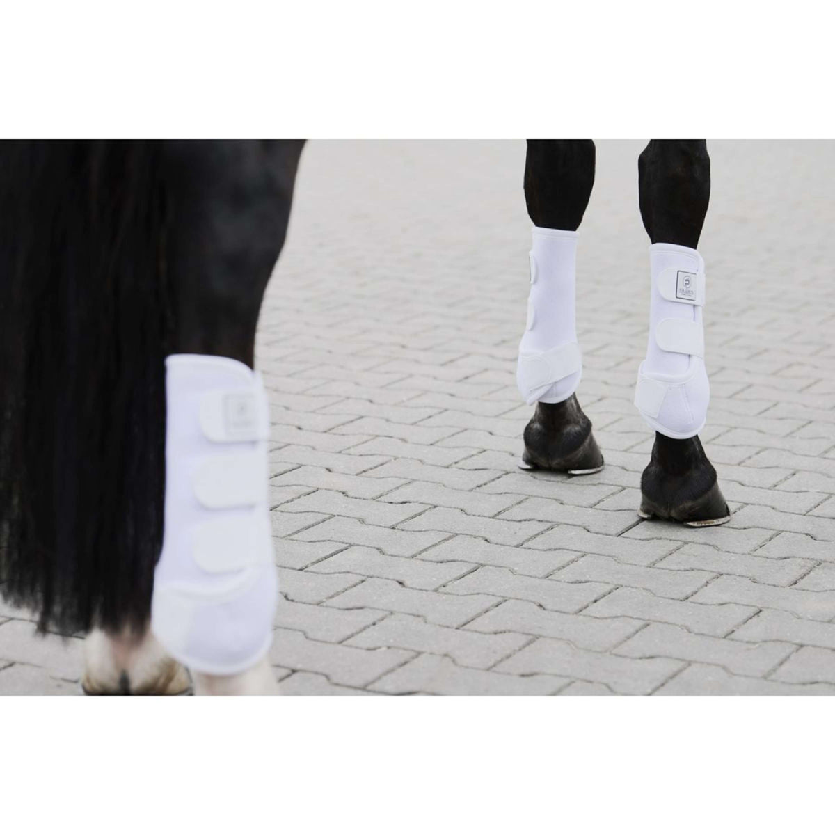 Eskadron Dressage Boots Platinum Pro Dressage Für Weiß