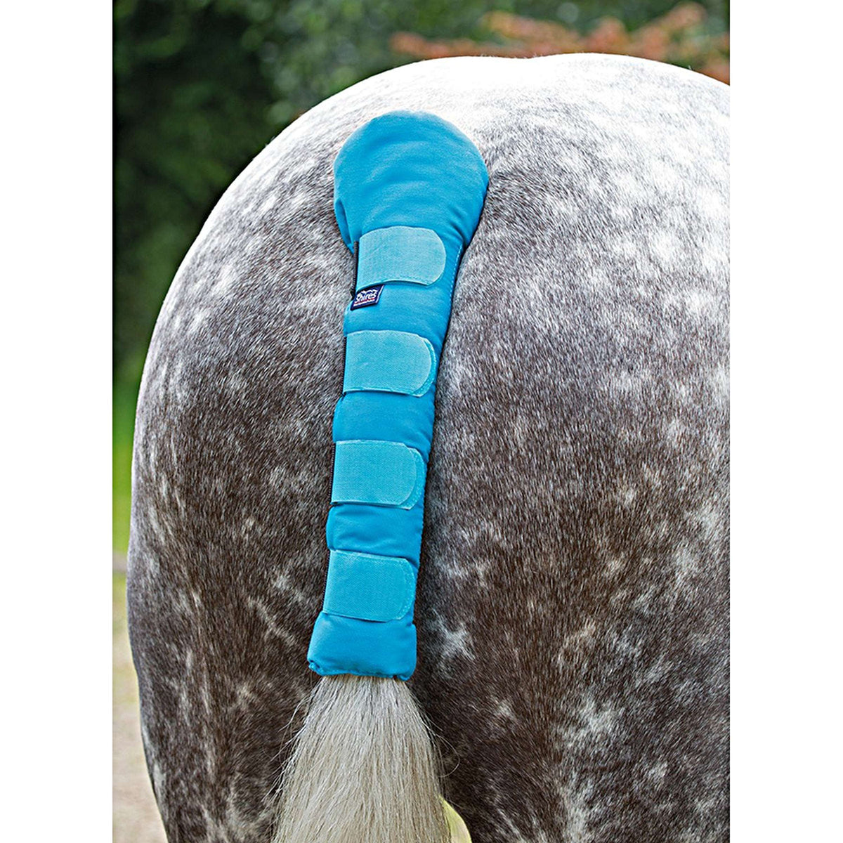 Arma by Shires Schweifschoner Padded Bright Blau