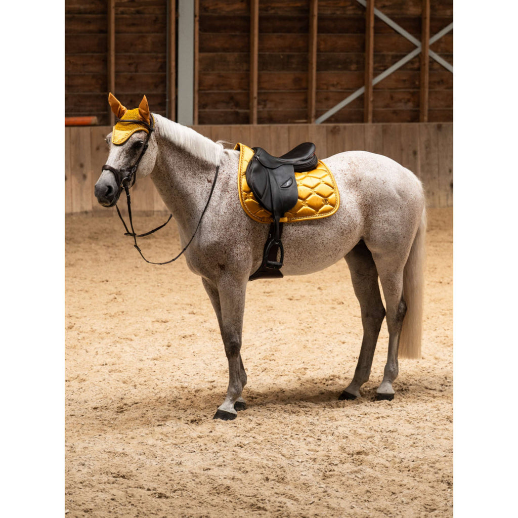 PS of Sweden Schabracke Signature Springen Old Gold