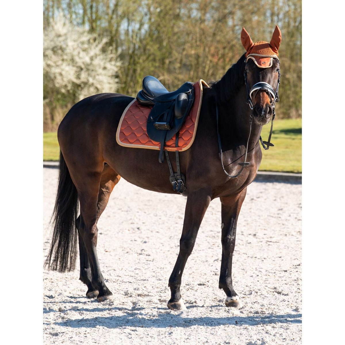 PS of Sweden Schabracke Vintage Monogram Dressur Kastanienbraun