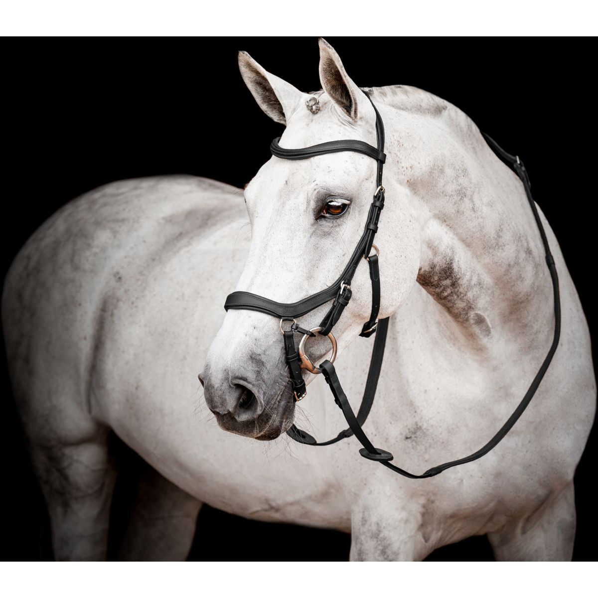 Rambo Micklem Competition Bridle New Schwarz