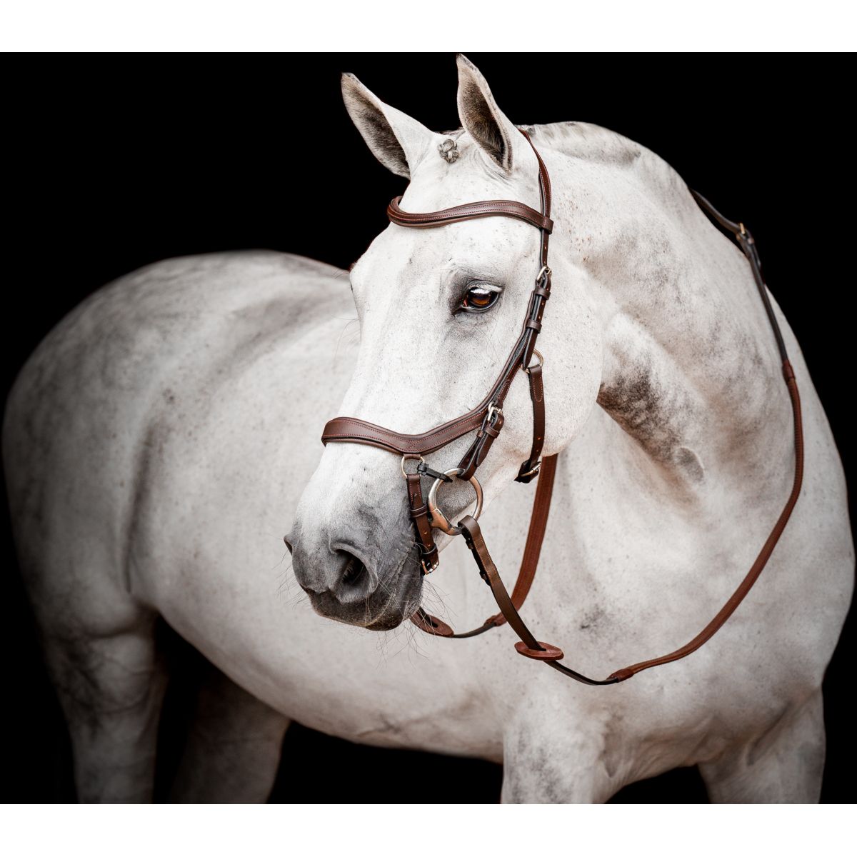 Rambo Micklem Multi Bridle New Dark Havana