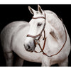 Horseware Micklem Competition Bridle New Dark Havana