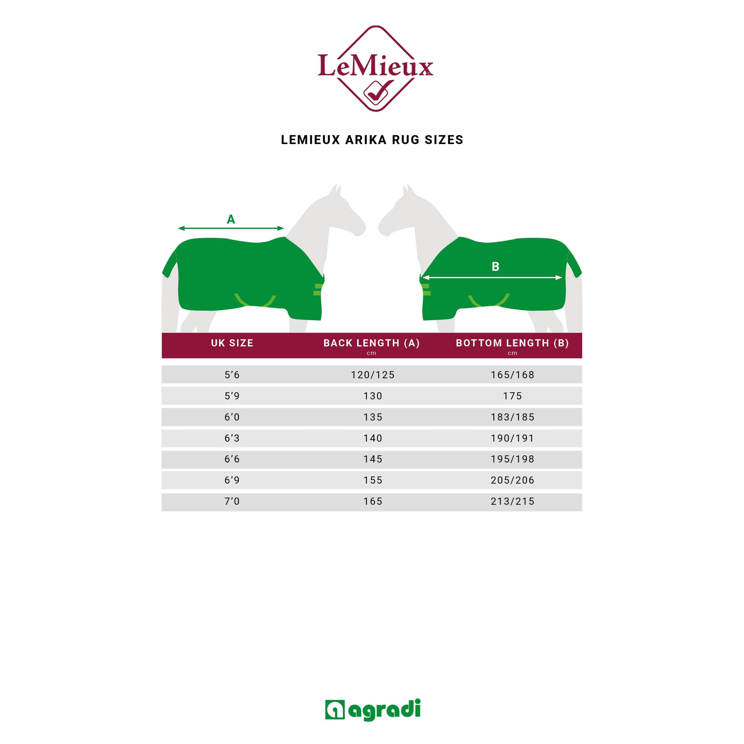 LeMieux Fliegendecke Arika Armour-Tek SS25 Grau