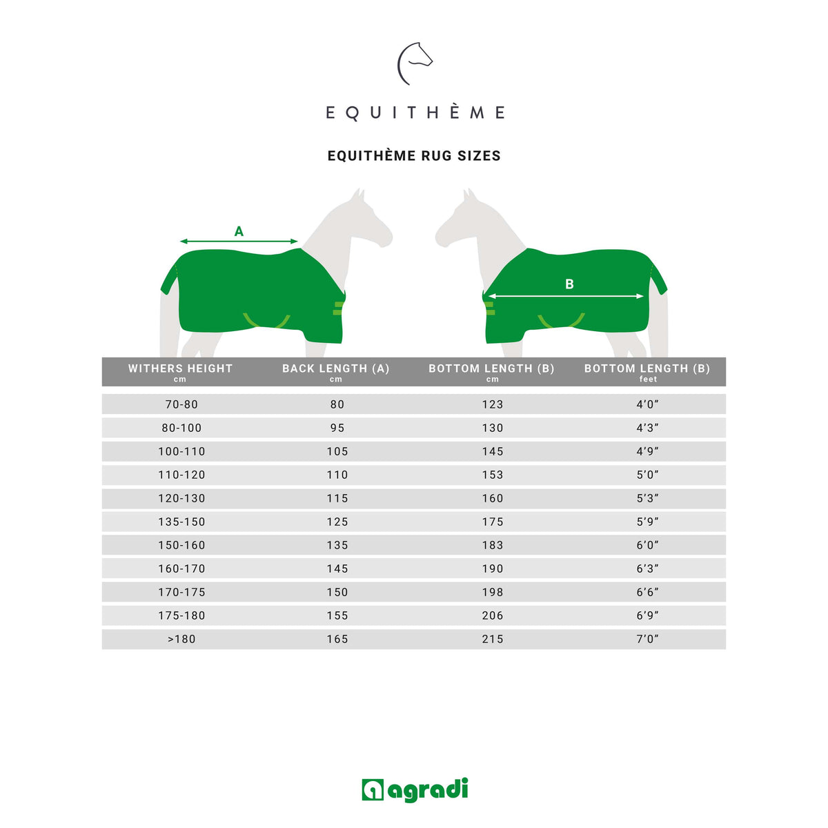 EQUITHÈME Outdoordecke Tyrex 600D Standard 300g Grün