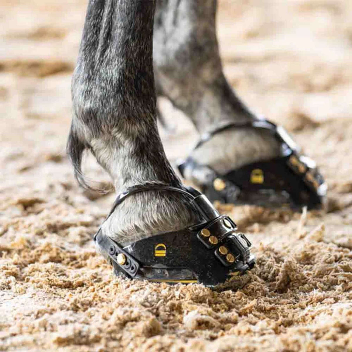 Scoot Boots Hufschuh TheraRide Schwarz