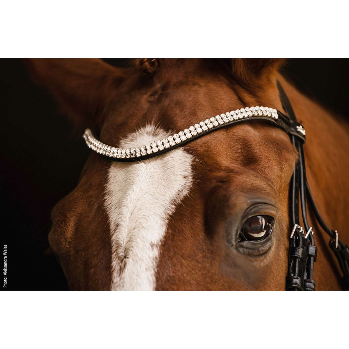 Schockemöhle Trense SP Isabell Werth Johnny Schwarz/Silber