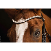 Schockemöhle Trense SP Isabell Werth Johnny Schwarz/Silber