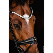 Schockemöhle Trense SP Isabell Werth Johnny Schwarz/Silber