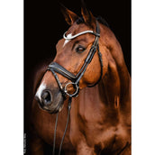 Schockemöhle Trense SP Isabell Werth Johnny Schwarz/Silber