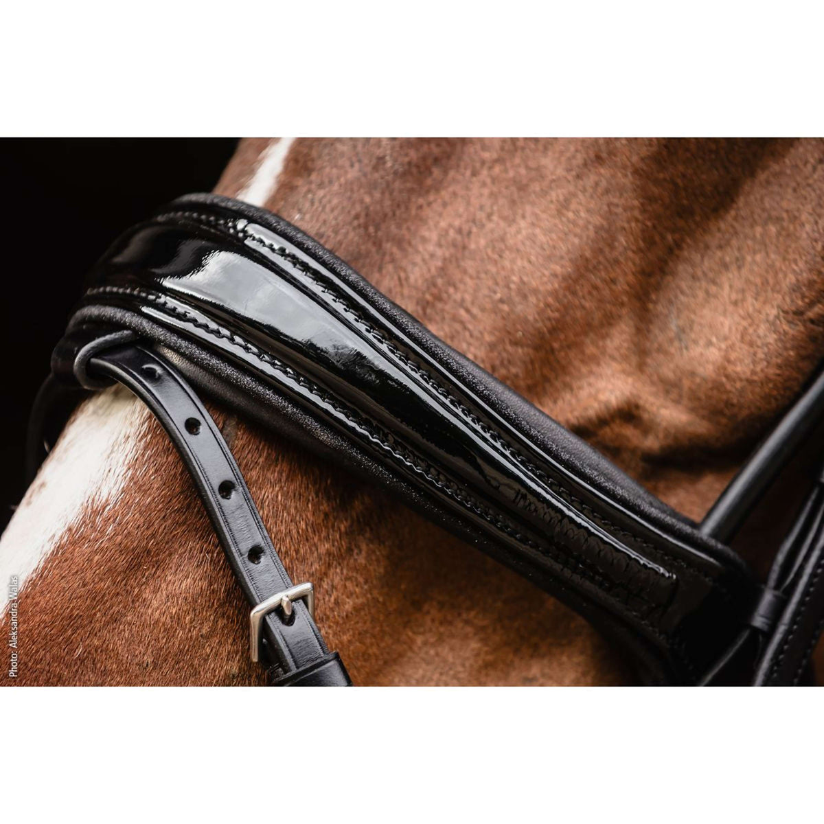 Schockemöhle Trense SP Isabell Werth Satchmo Schwarz/Patent/Silber