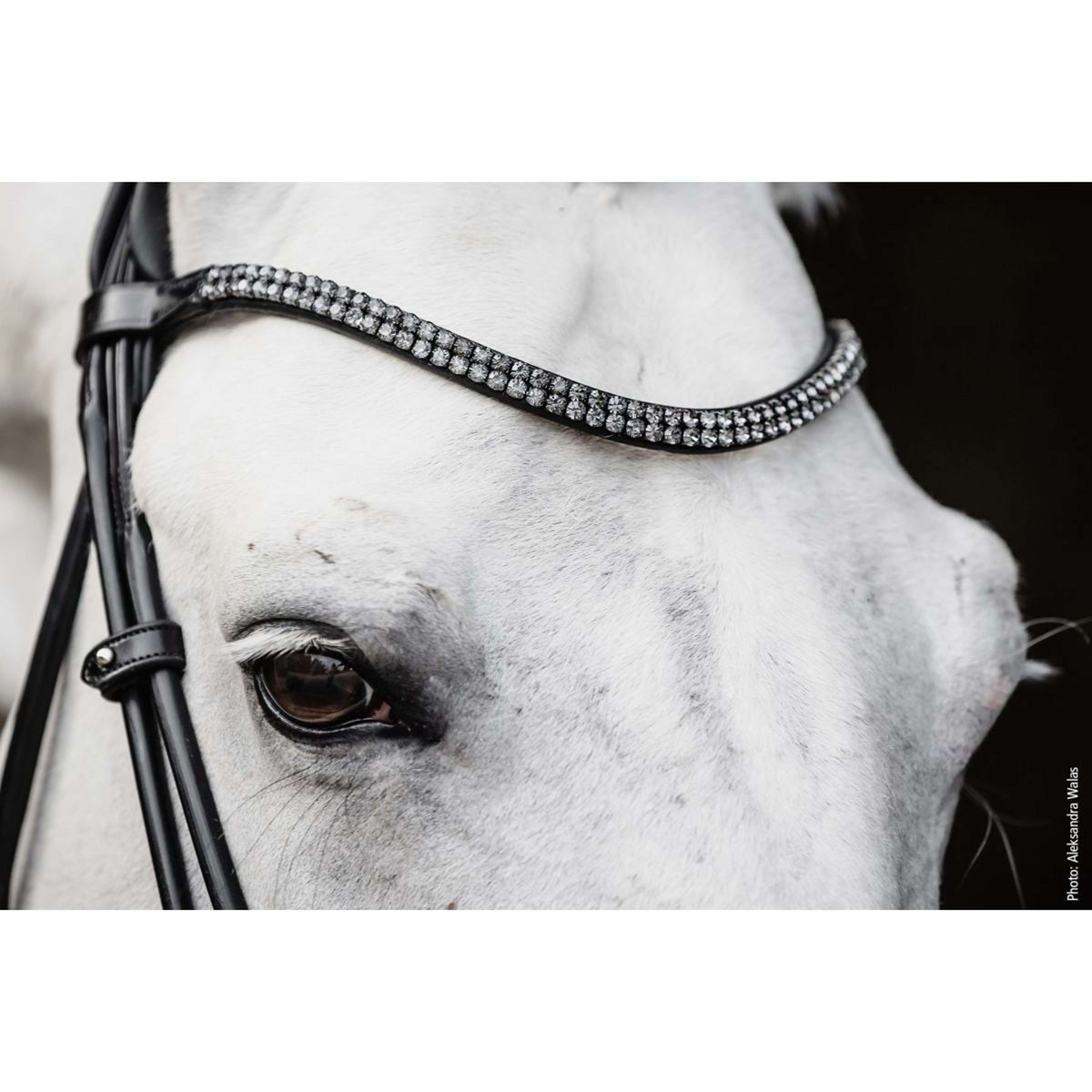 Schockemöhle Trense SP Isabell Werth Satchmo Schwarz/Patent/Silber