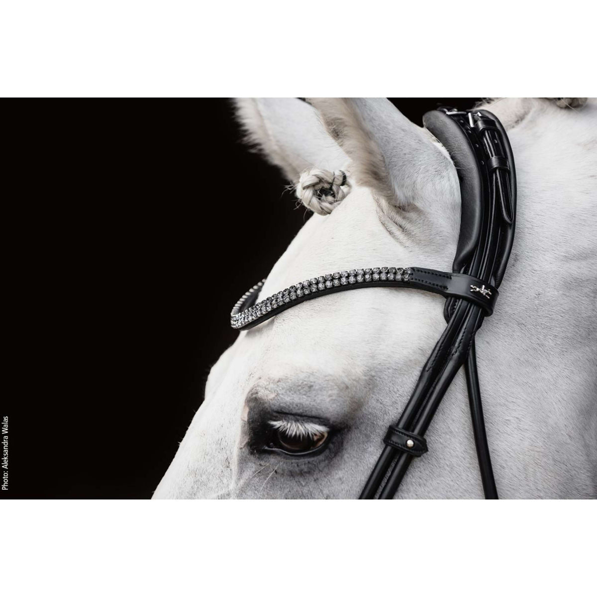 Schockemöhle Trense SP Isabell Werth Satchmo Schwarz/Patent/Silber