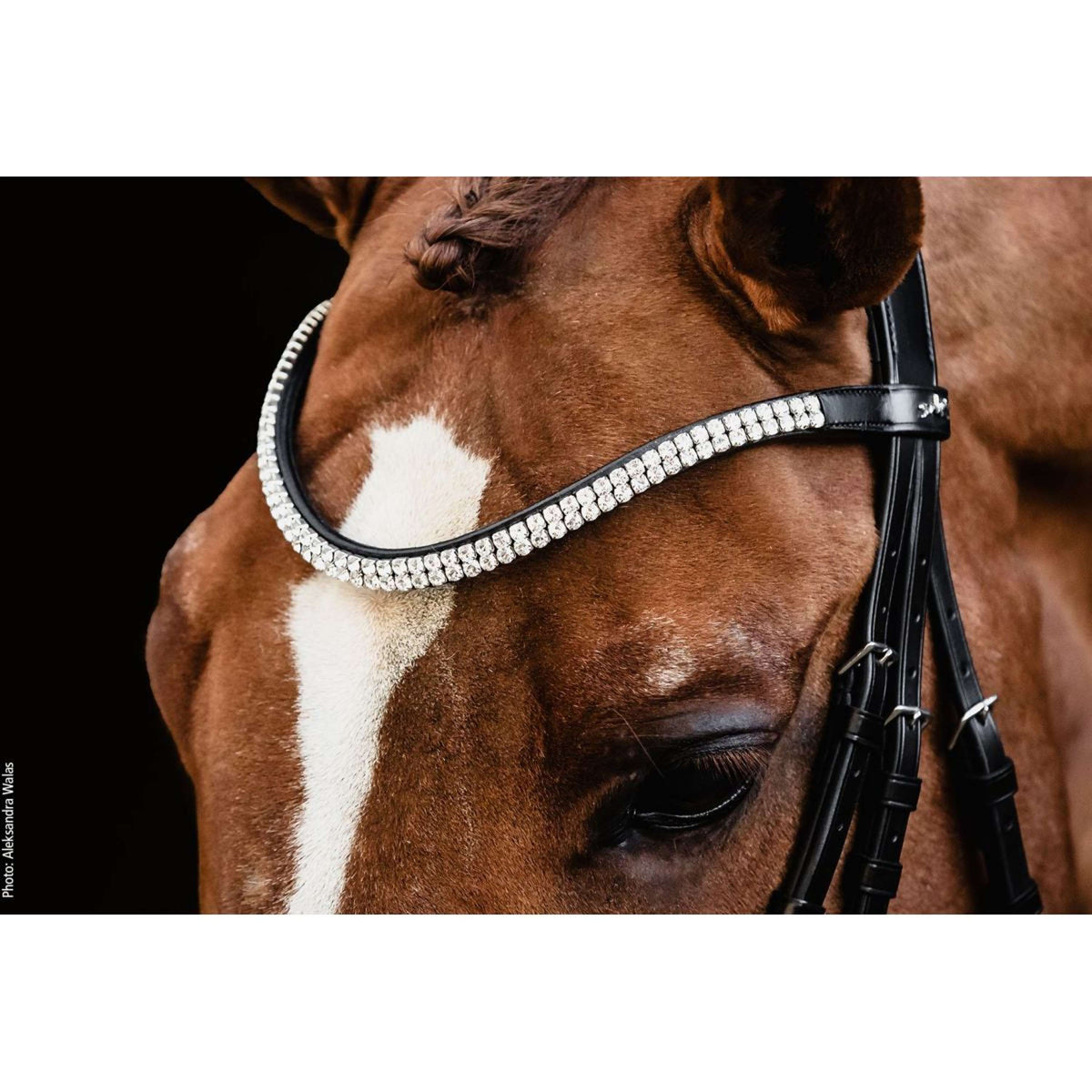 Schockemöhle Stirnriemen Valencia/Monticelli Schwarz/Crystal