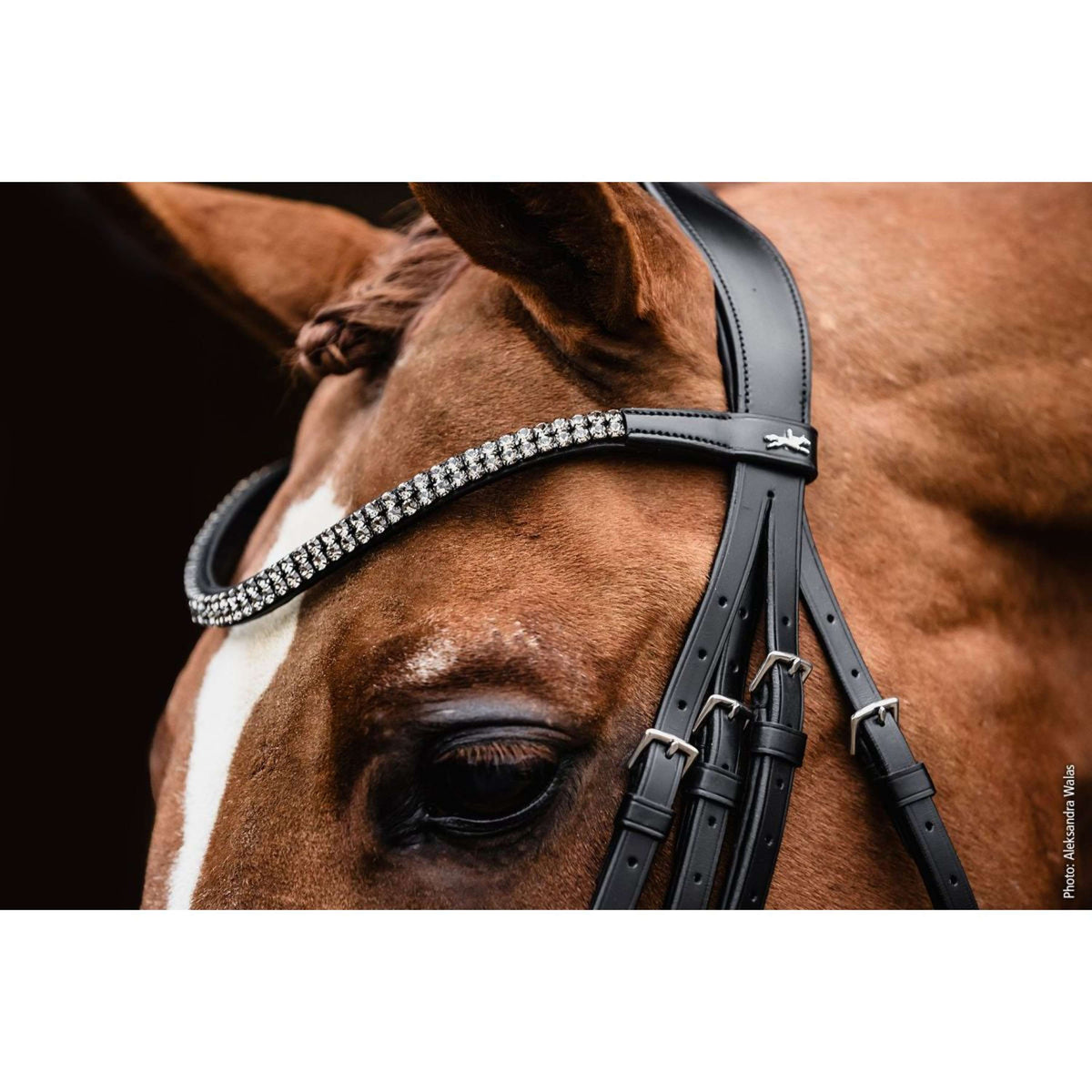 Schockemöhle Kandarenzaum Monticelli Schwarz/Silber