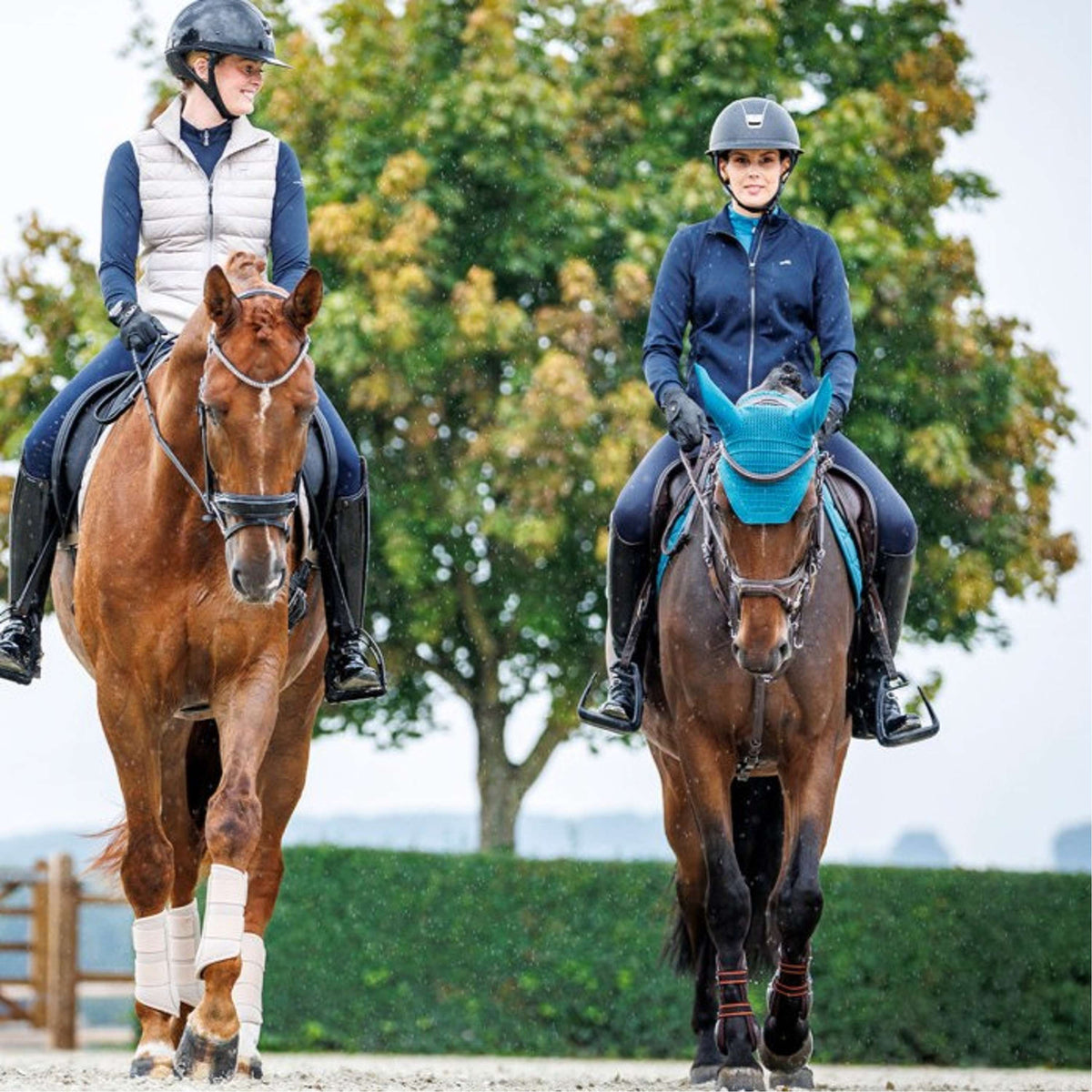 Schockemöhle Fliegenhaube SP Classic Style Colonial Blue