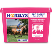 Horslyx Pro Digest Balancer