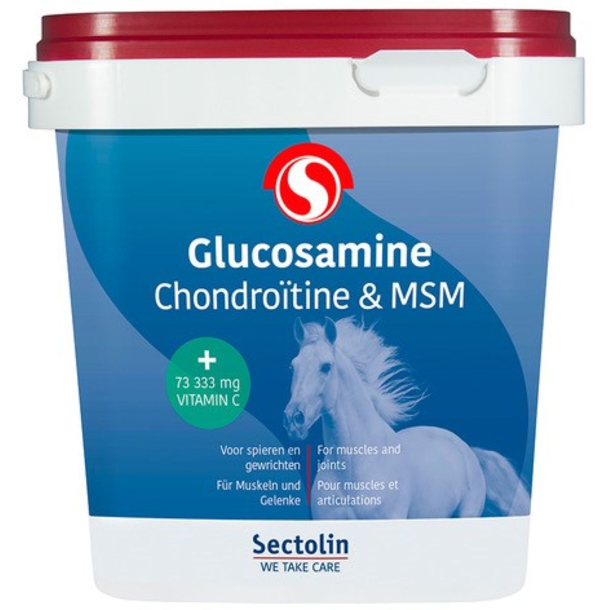 Sectolin Glucosamine Chondroitine und MSM