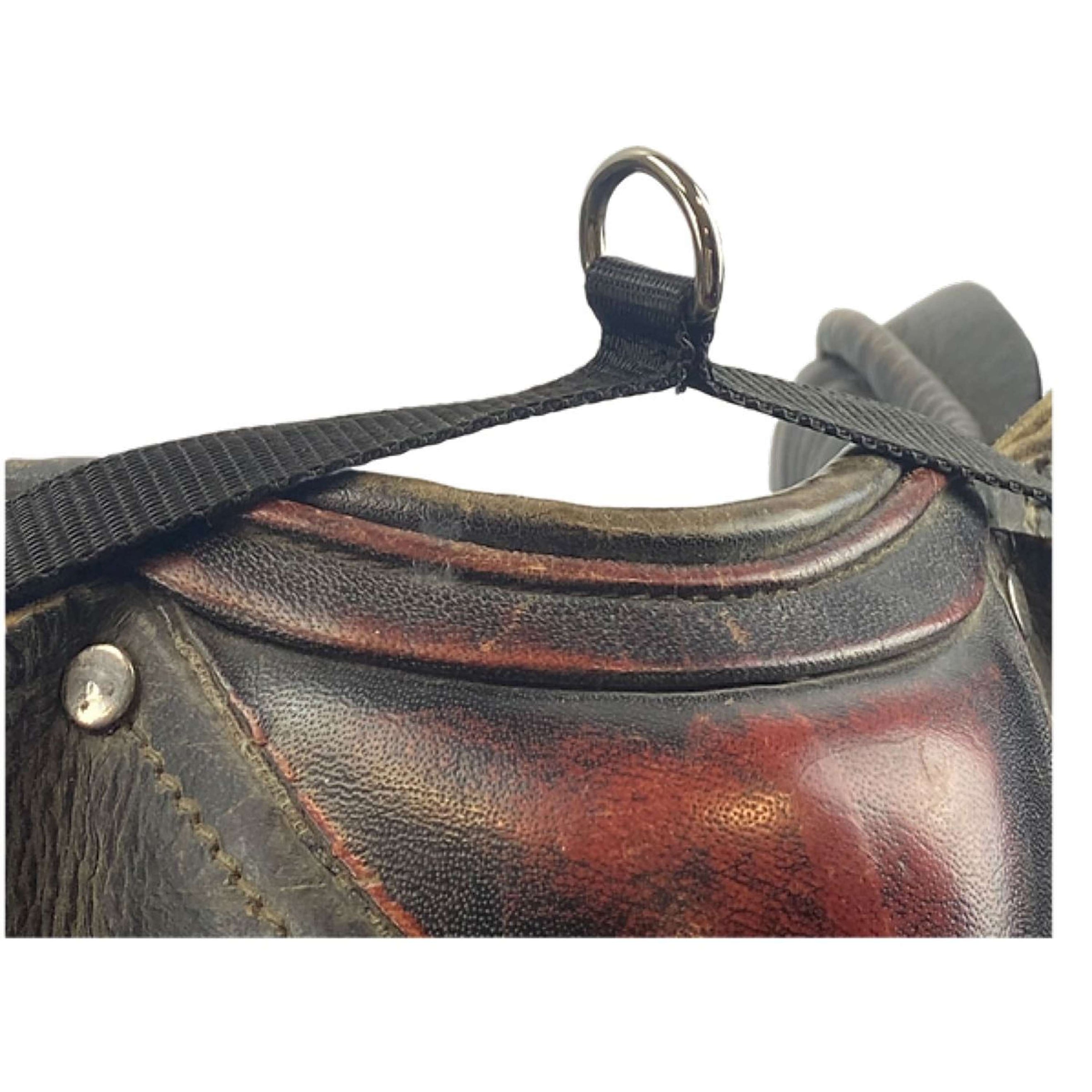 Segura Equitation Sattelbefestigungsschnur Schwarz Segura Equitation Sattelbefestigungsschnur Schwarz