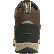 Suedwind Stiefelette Field FZ GripFTX Schokolade