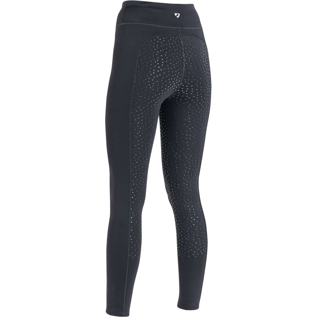 Aubrion Reitleggings Shield Winter Kohle