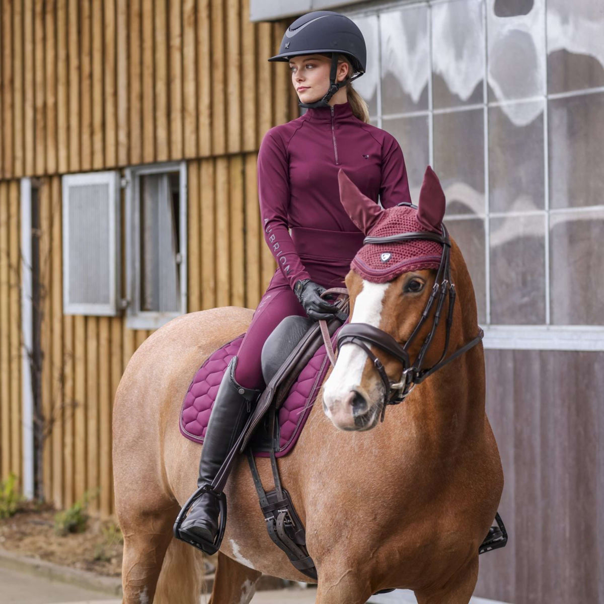 Arma by Shires Schabracke Eltar Vielseitig Black Cherry