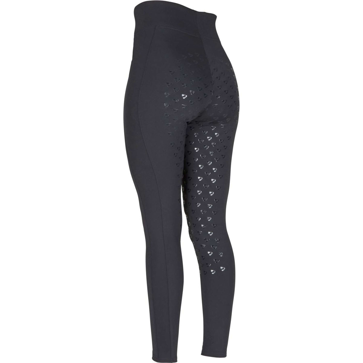 Aubrion Reitleggings Eltar Full Grip Schwarz