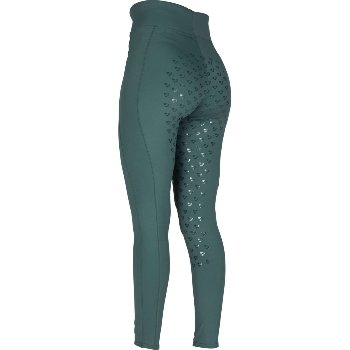 Aubrion Reitleggings Eltar Full Grip Grün