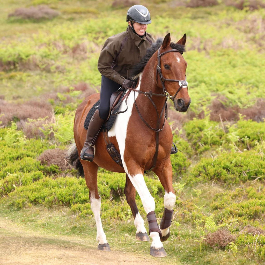Aubrion by Shires Pullover Heritage Dunkelolive