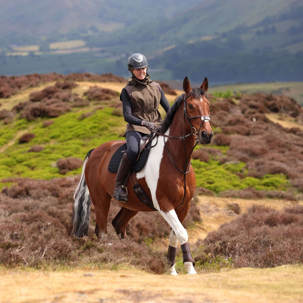Aubrion by Shires Weste Heritage Dunkelolive